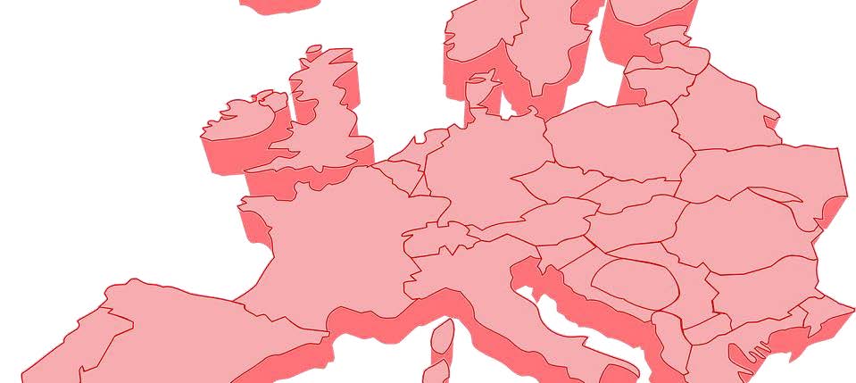 Reforma unii celnej | ALERT
