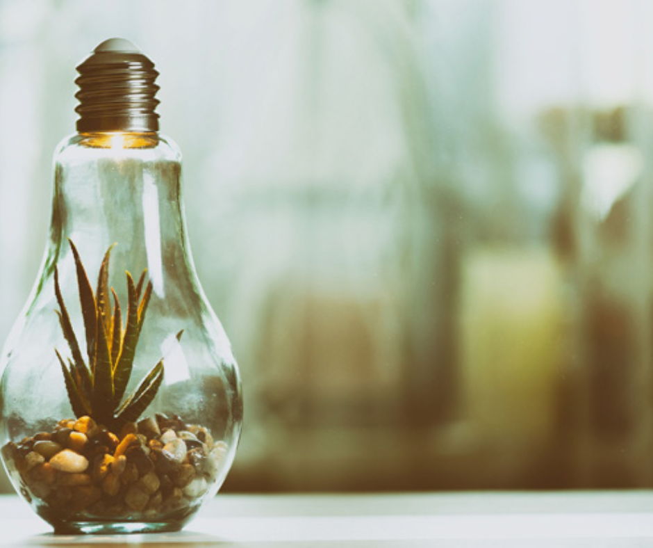 Taxation of donors and other entities supporting public benefit objectives